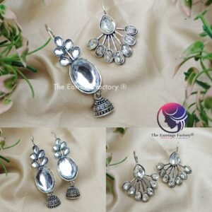 Western Silver Hook Stone Earrings